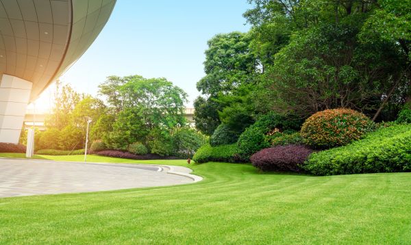Cost of Commercial Shrub Trimming in Vista